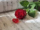 sheet-music-8578311_1280.webp sheet-music-8578311_1280.webp