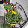 20240515_181113.webp