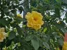 20240516_134111.webp