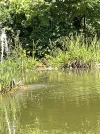 IMG_3145.webp