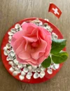 IMG_3814.webp