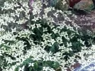 IMG20240517195430.webp