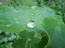 1716219518771.webp