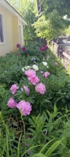 IMG_20240520_163141.webp