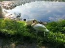 IMG20240520190724.webp