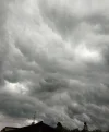 IMG_20240521_174106~2.webp