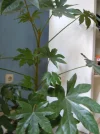 1716321535673.webp