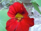1716366681525.webp