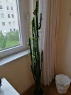 IMG_20240521_185517.jpg
