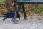 IMGP7889.webp