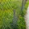 20240524_102934.webp