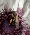 IMG_2900.jpeg