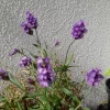 20240524_170812.webp