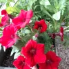 20240524_171027.webp