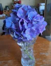 20240525_113038.webp