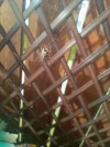 IMG_20240525_171150.webp