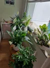 20240528_113250.webp