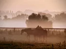 20210710_055638-EFFECTS.webp