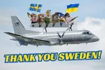 Sweden - Radarflugis.webp