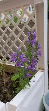 IMG_20240531_080850.webp