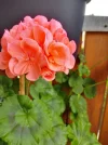 IMG_20240531_130813_HDR.webp