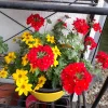 20240530_085644.webp