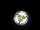 DSCN3528.webp