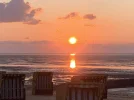 IMG_4074.jpeg