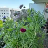 20240607_084713.webp