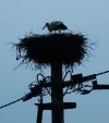Spaichingen-AOK_2.jpg