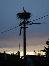 Spaichingen-AOK_DSC01645-low.jpg