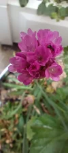 IMG_20240612_093001.webp