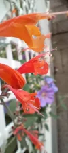 IMG_20240612_092149.webp