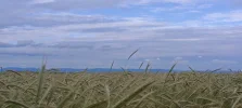IMG_20240612_174622.webp