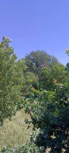IMG_20240615_105821.webp