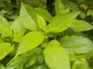 DSCN6280.JPG