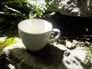 DSCN6296.webp