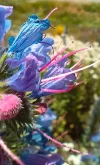IMG_20240615_120455.webp