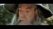 99111 gandalf.webp