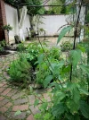 IMG_1159.webp