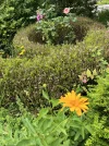 IMG_1173.jpeg