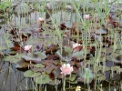 DSCN3573.webp