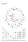 radix_03.webp