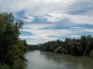 DSCN6298.webp