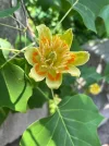 VRYB8939[1].webp
