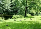FullSizeRender.webp