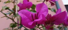 IMG_20240622_140015.webp