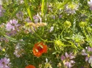 DSCN6308.JPG