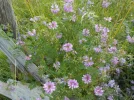 DSCN6319.webp