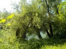 DSCN6321.webp